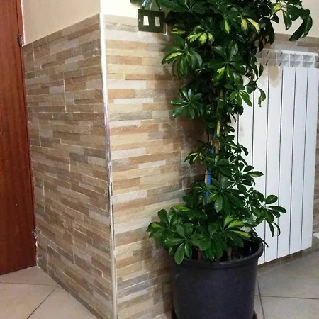 Benvenuto A Nápoles
